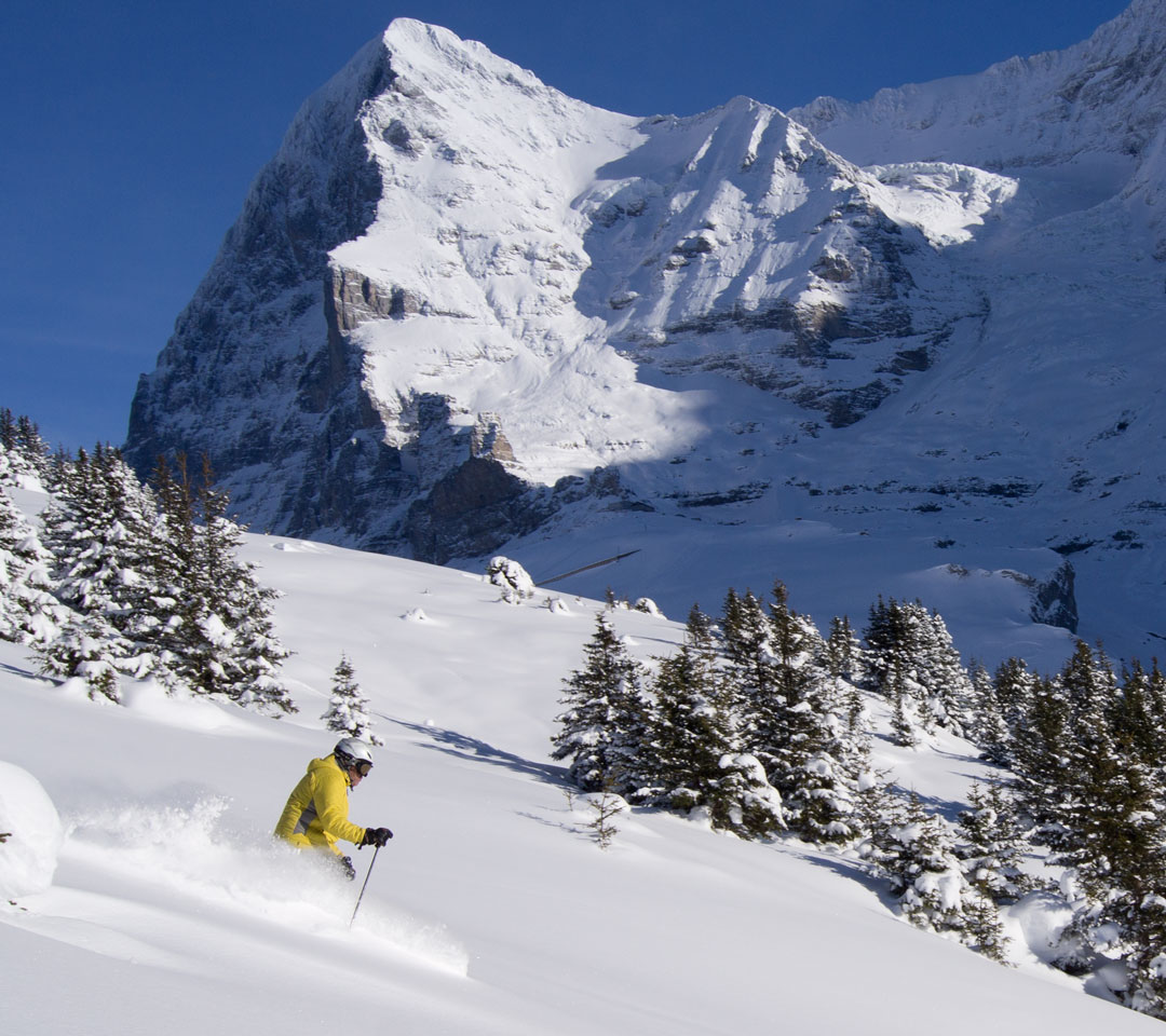 winter image
